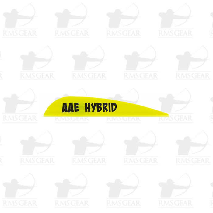 AAE Hybrid 23