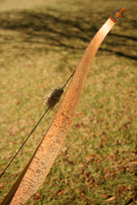 Patagonia Archery Nahuel - 35@28 - 57" - PN3557PT