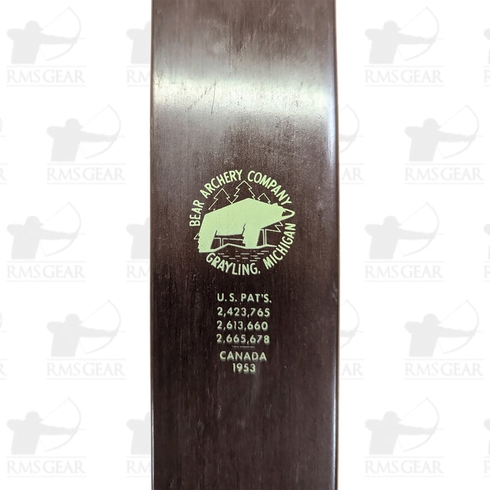 Bear Grizzly - 42@28 - 58" - 22CD115