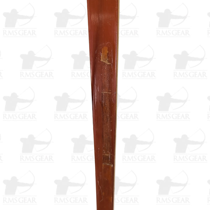 Bear Grizzly - 71@28 - 62" -  FA182