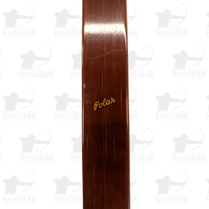 Bear Polar - 44@28 - 64" -  LB995