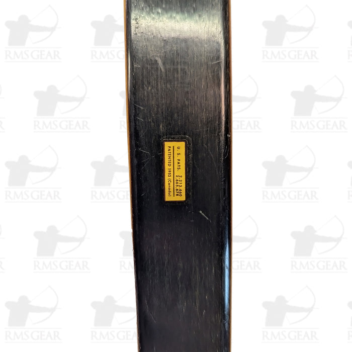 Bear Grizzly - 53@28 - 62" -  GH849