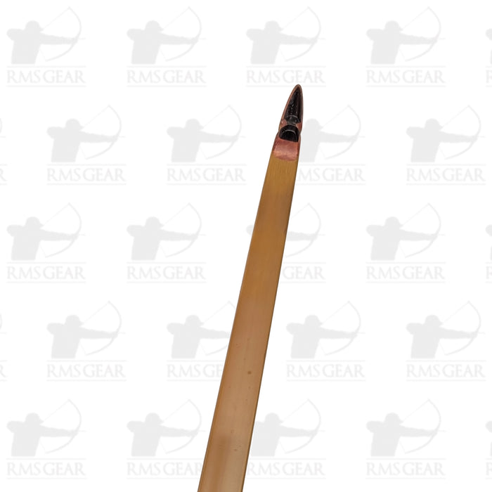 Saluki - 49@29 - 67" - 0598018