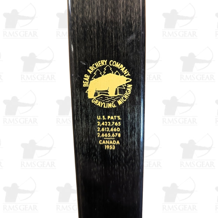 Bear Grizzly - 56@28 - 62" - GR994