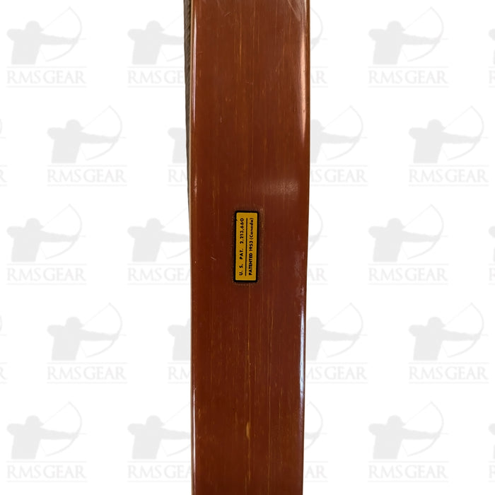 Bear Polar - 44@28 - 64" -  LB995