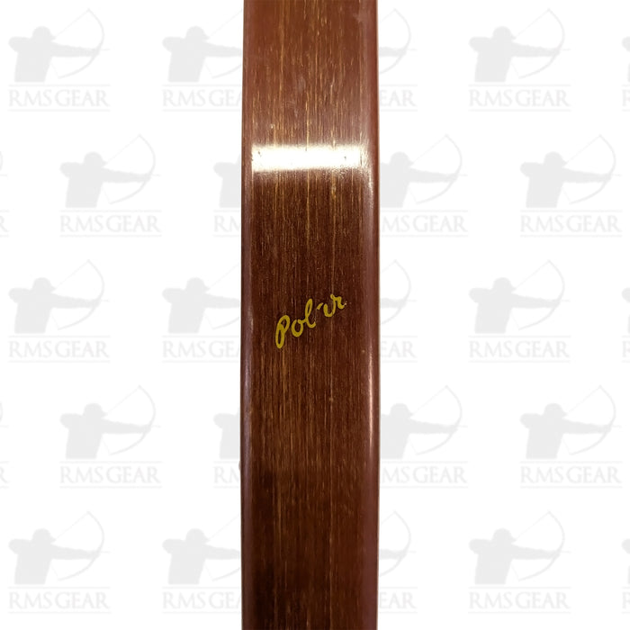 Bear Polar - 49@28 - 64" -  P.7549