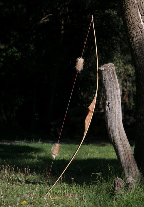 Patagonia Archery Huemul - 35@28 - 64" - PH3564PT