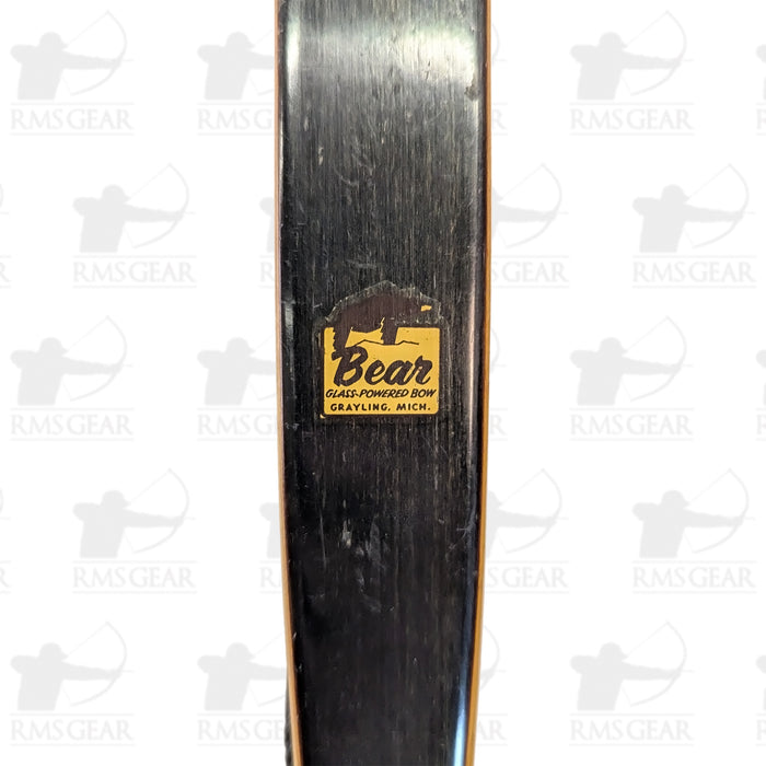 Bear Grizzly - 53@28 - 62" -  GH849