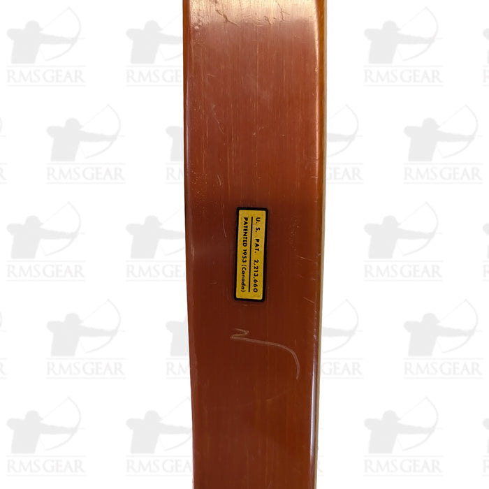 Bear Grizzly - 71@28 - 62" -  FA182