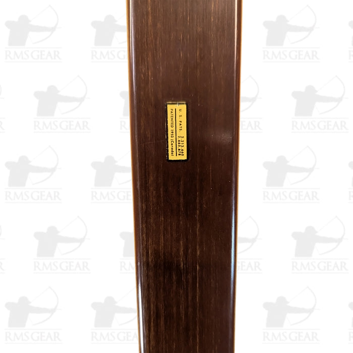 Bear Grizzly - 55@28 - 64" - CN377