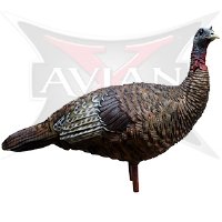 Zink Avian X Lookout Turkey Decoy